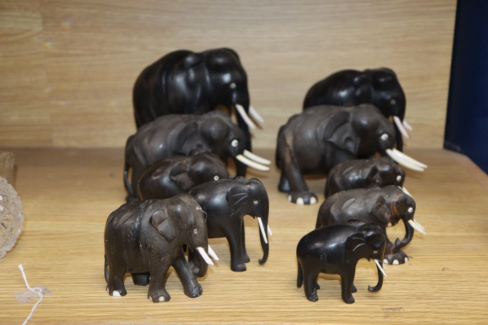 Ten Indian carved ebony elephants, with ivory tusks, c.1900, tallest 16cm